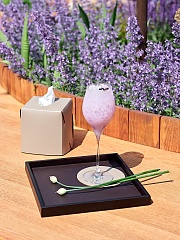 Поднос Mondo 25x25xH3