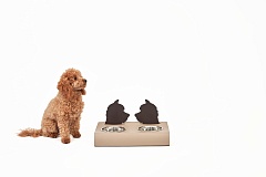 Подставка с мисками Dog 40x22xH7.5